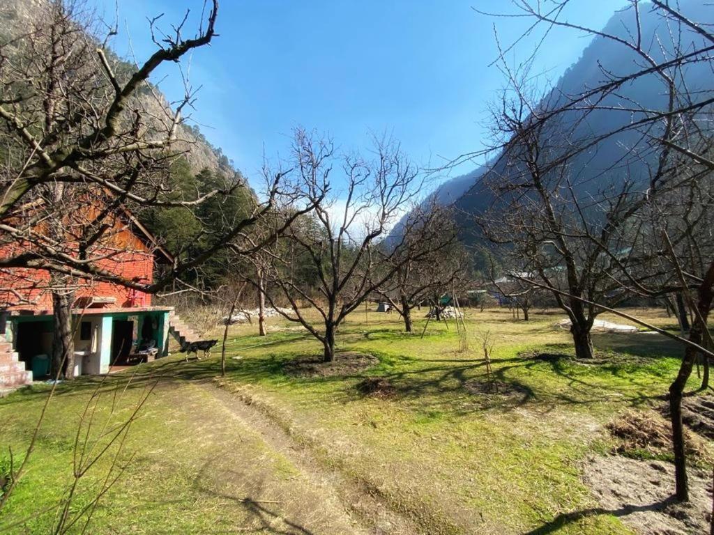 The Royal Orchard Kasol Hotell Eksteriør bilde