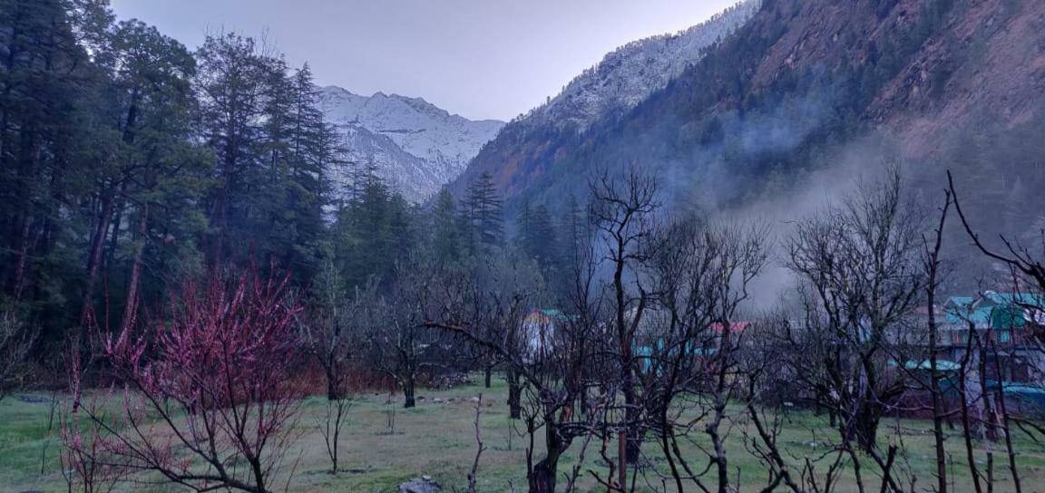 The Royal Orchard Kasol Hotell Eksteriør bilde