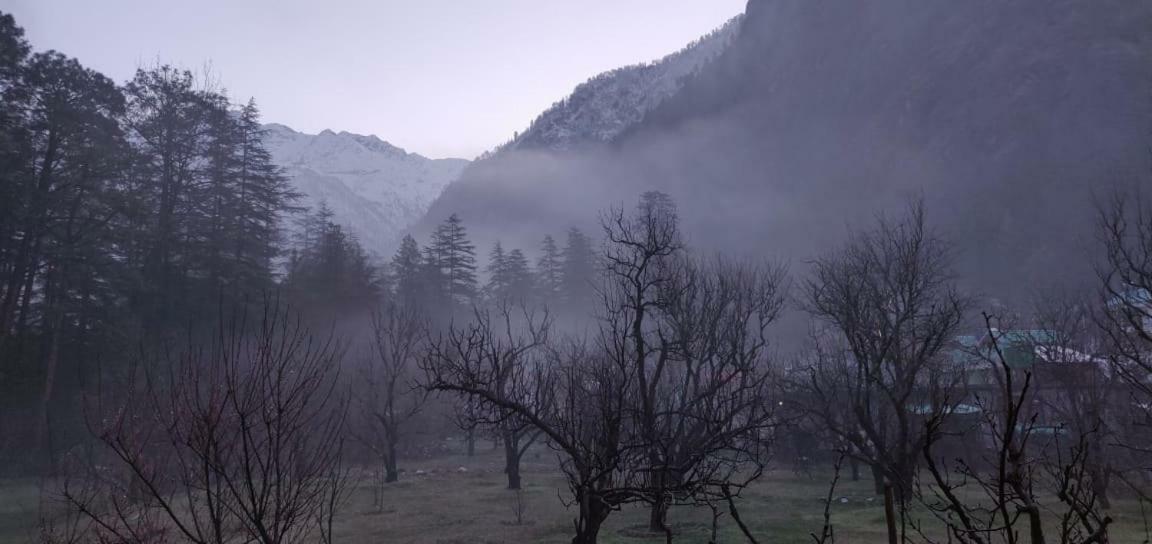 The Royal Orchard Kasol Hotell Eksteriør bilde