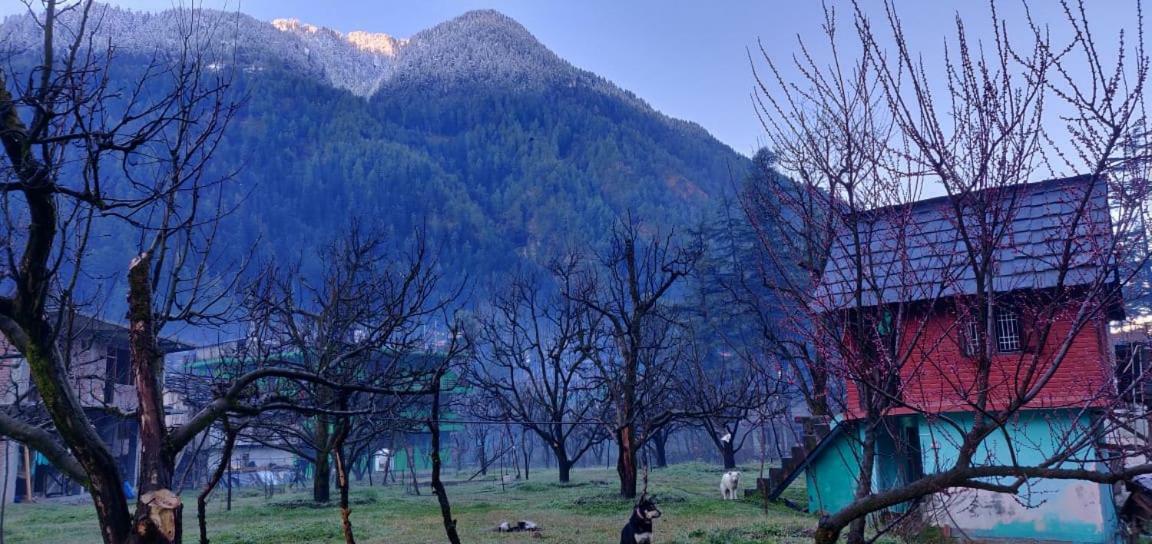 The Royal Orchard Kasol Hotell Eksteriør bilde